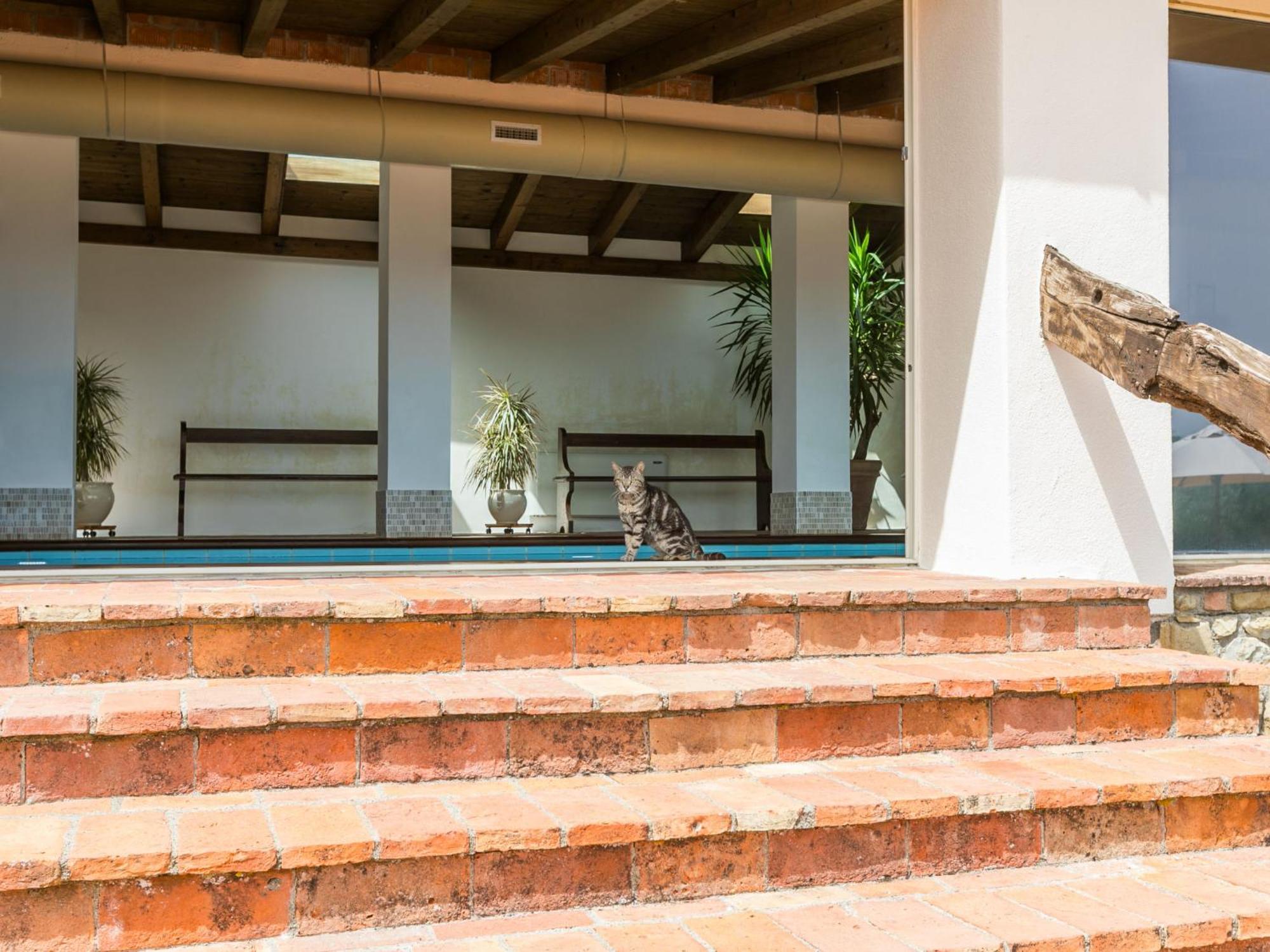 Appartamento Locazione Turistica Santa Marta Cinigiano Esterno foto